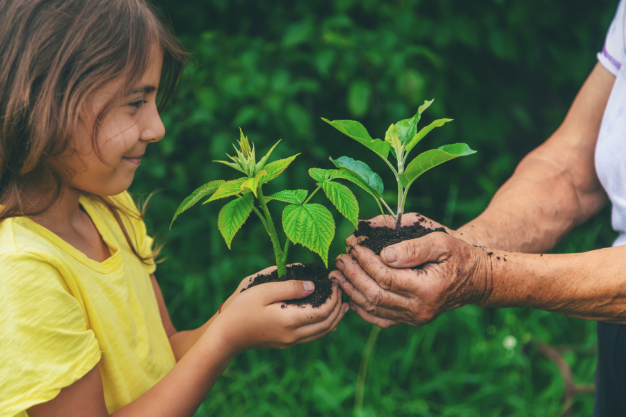 Hoje é Dia 22:  Dia da Consciência Ecológica